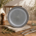 Donglin Homeware Mineral Horizon Collection Dinner Plate 10-inch